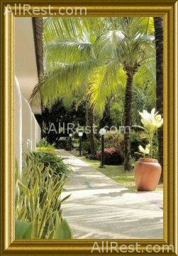 Patong Bayshore Hotel 11